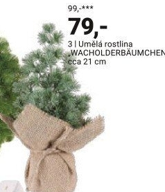 UMĚLÁ ROSTLINA „WACHOLDERBÄUMCHEN I“