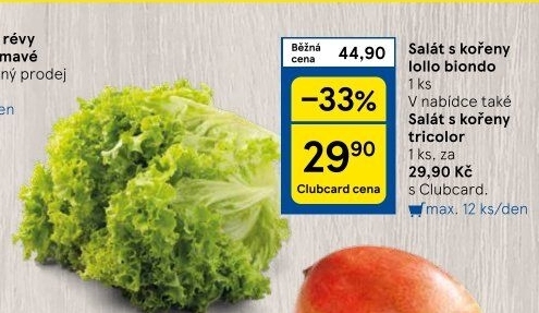 Salát lollo biondo