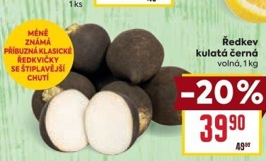 Ředkev černá