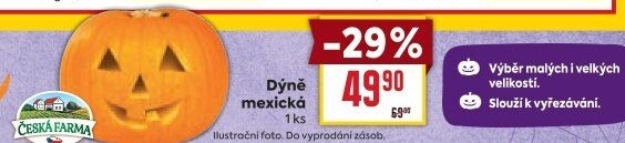 Dýně mexická Česká farma
