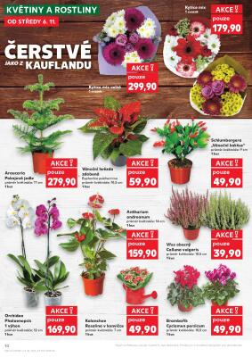 akční leták Kaufland 6.11.2024-12.11.2024