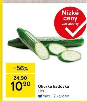 Okurka salátová - hadovka