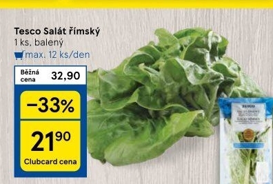 Salát římský Tesco