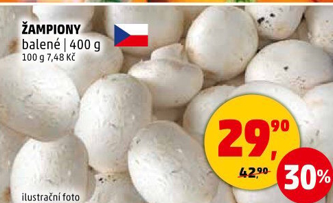 Žampiony