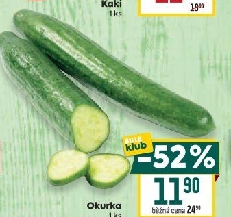 Okurka salátová - hadovka