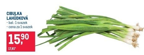 Jarní cibule svazek