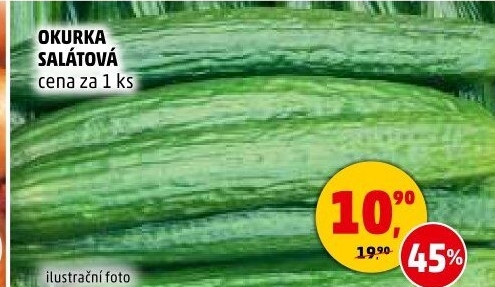 Okurka salátová - hadovka