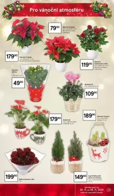 akční leták Tesco 20.11.2024-26.11.2024