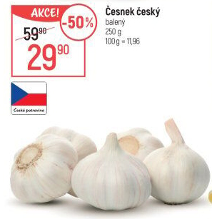 Česnek český