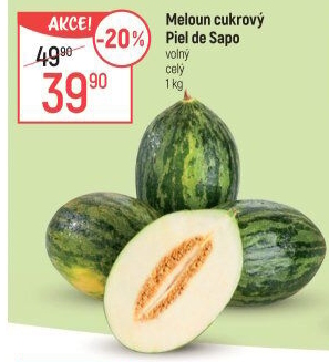 Meloun Piel de Sapo