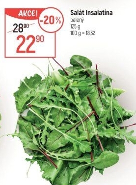 Salát Insalatina