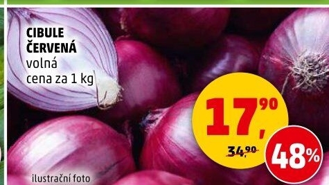Cibule červená