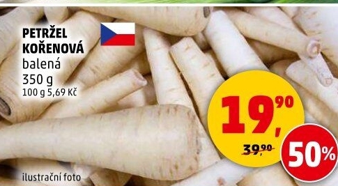 Petržel