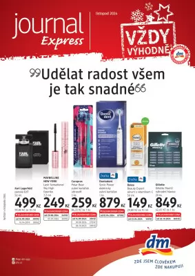 akční leták dm drogerie 22.11.2024-23.12.2024
