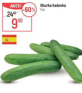 Okurka salátová - hadovka