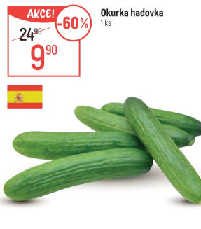 Okurka salátová - hadovka