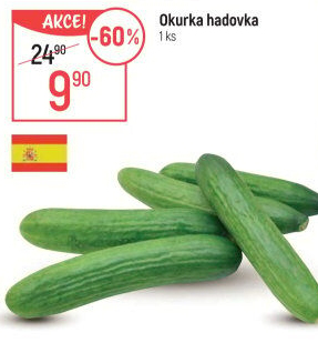 Okurka salátová - hadovka