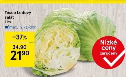 Salát ledový Tesco