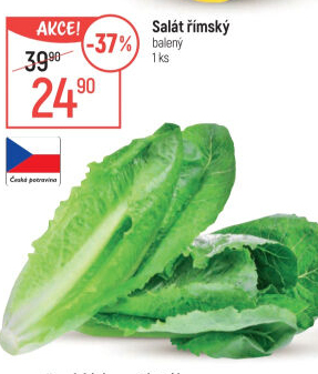 Salát římský