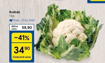 Květák