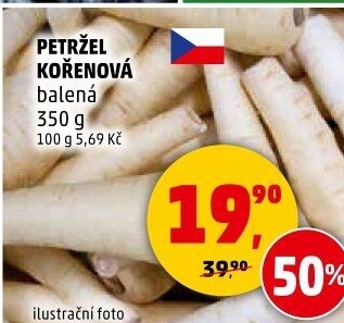 Petržel