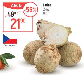 Celer bulva