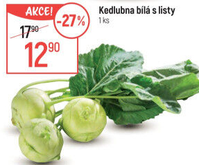 Kedlubna bílá