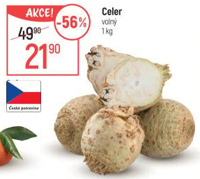 Celer bulva