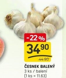 Česnek