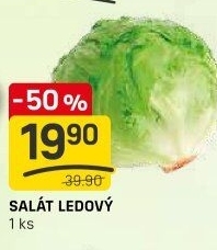 Salát ledový