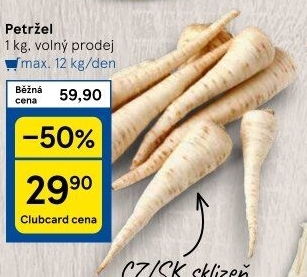 Petržel