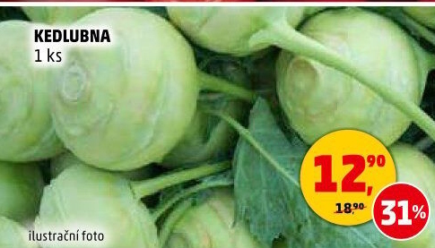Kedlubna bílá