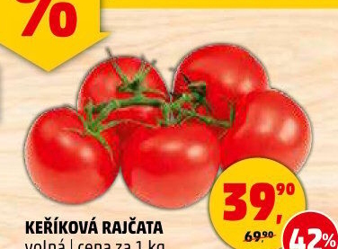 Rajčata keříková