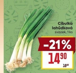 Jarní cibule svazek