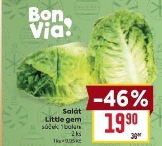 Salát little gem Billa Bonvia