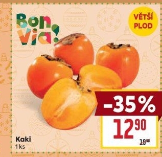 Kaki Billa Bonvia