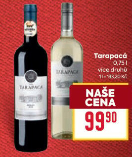 Vína Viňa Tarapaca