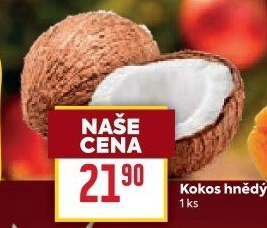 Kokosový ořech