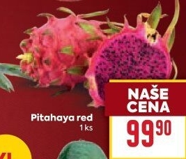 Pitahaya červená