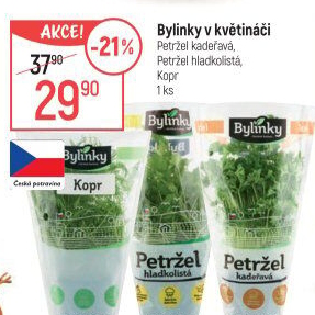 Bylinky v květináči Bylinky s.r.o.