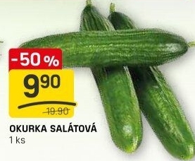 Okurka salátová - hadovka