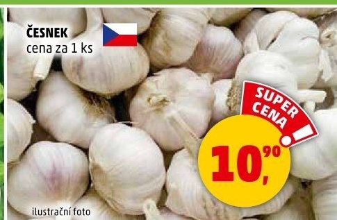 Česnek