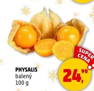 Physalis - Mochyně
