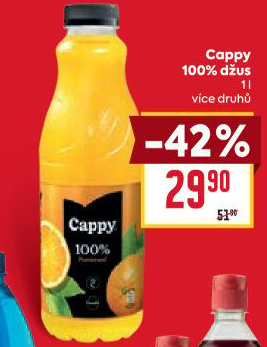 Džus Cappy