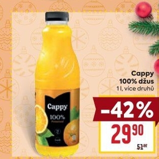 Džus Cappy