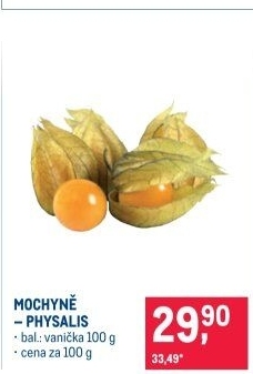 Physalis - Mochyně