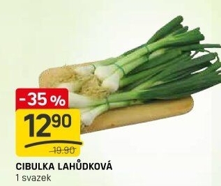 Jarní cibule svazek