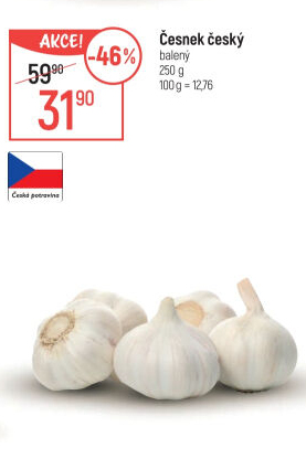 Česnek český