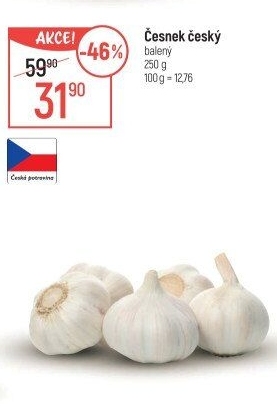Česnek český