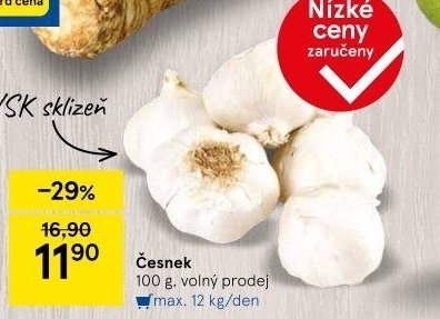 Česnek
